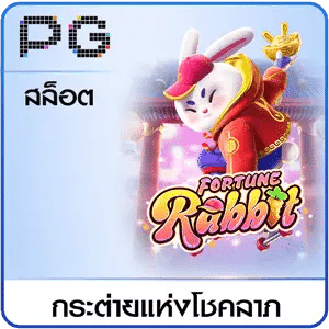 FORTUNE Rabbit